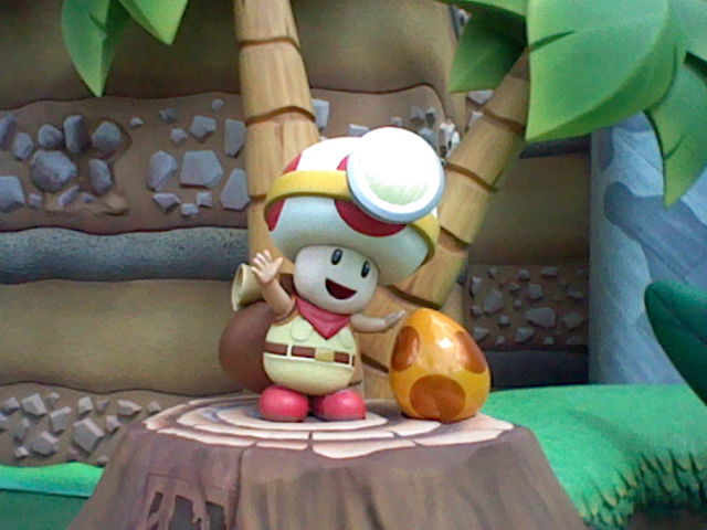 florida trip pictures from my 3ds